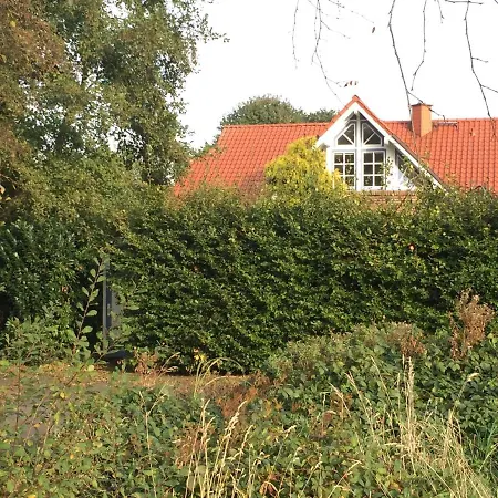 Moorblume * Friedeburg (Lower Saxony)